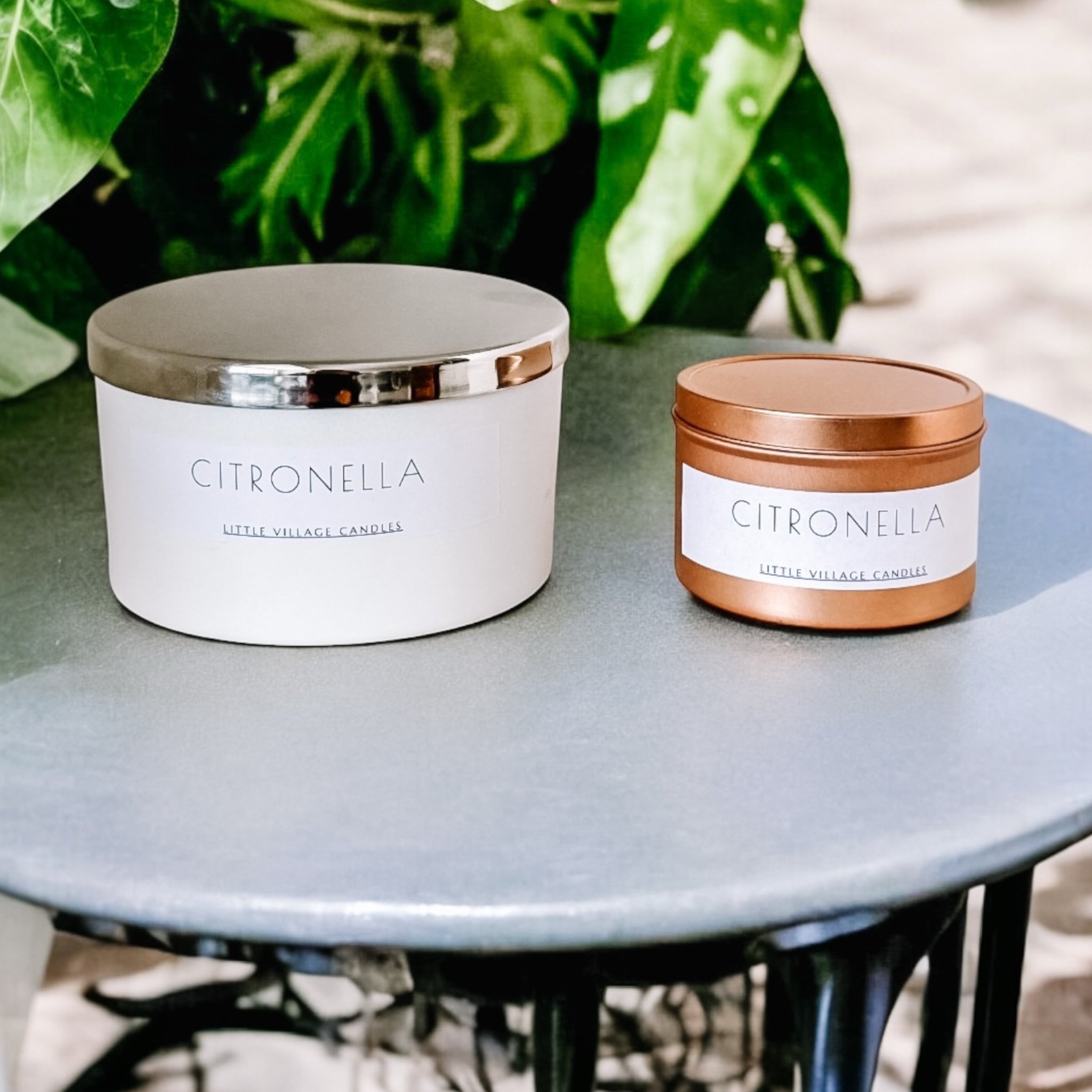 Citronella - Outdoor Living